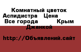 Комнатный цветок Аспидистра › Цена ­ 150 - Все города  »    . Крым,Джанкой